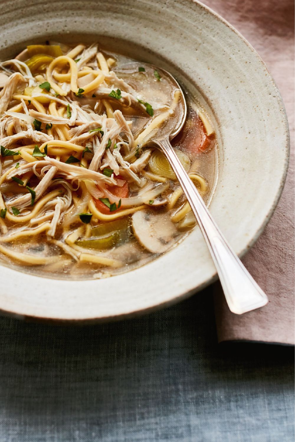 Mary Berry Warming Chicken Noodle Soup Recipe