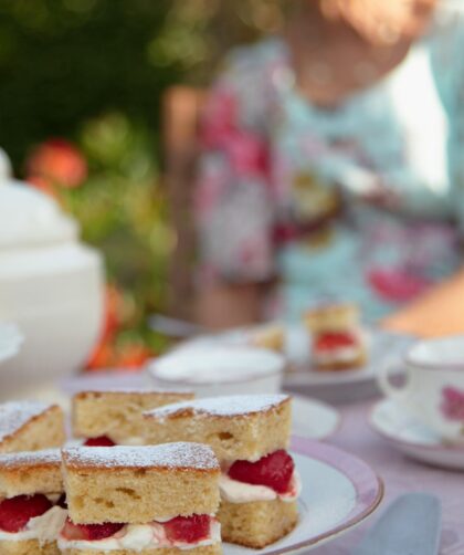 Mary Berry Lucy's Strawberry Slices