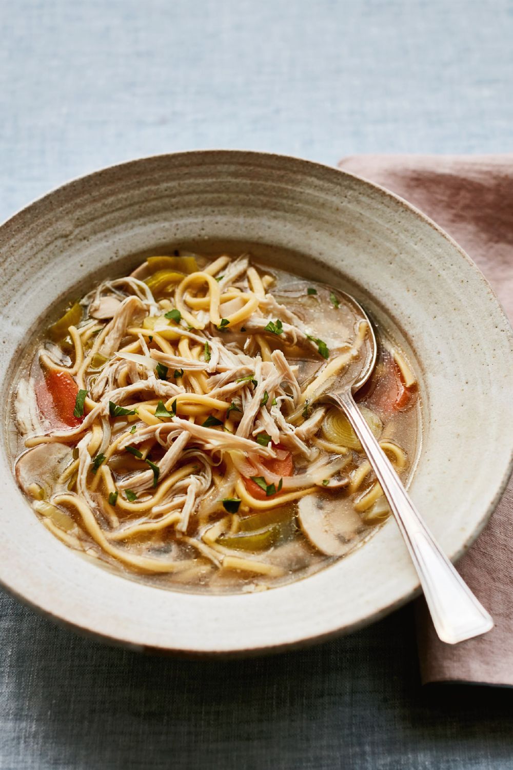 Mary Berry Warming Chicken Noodle Soup Recipe