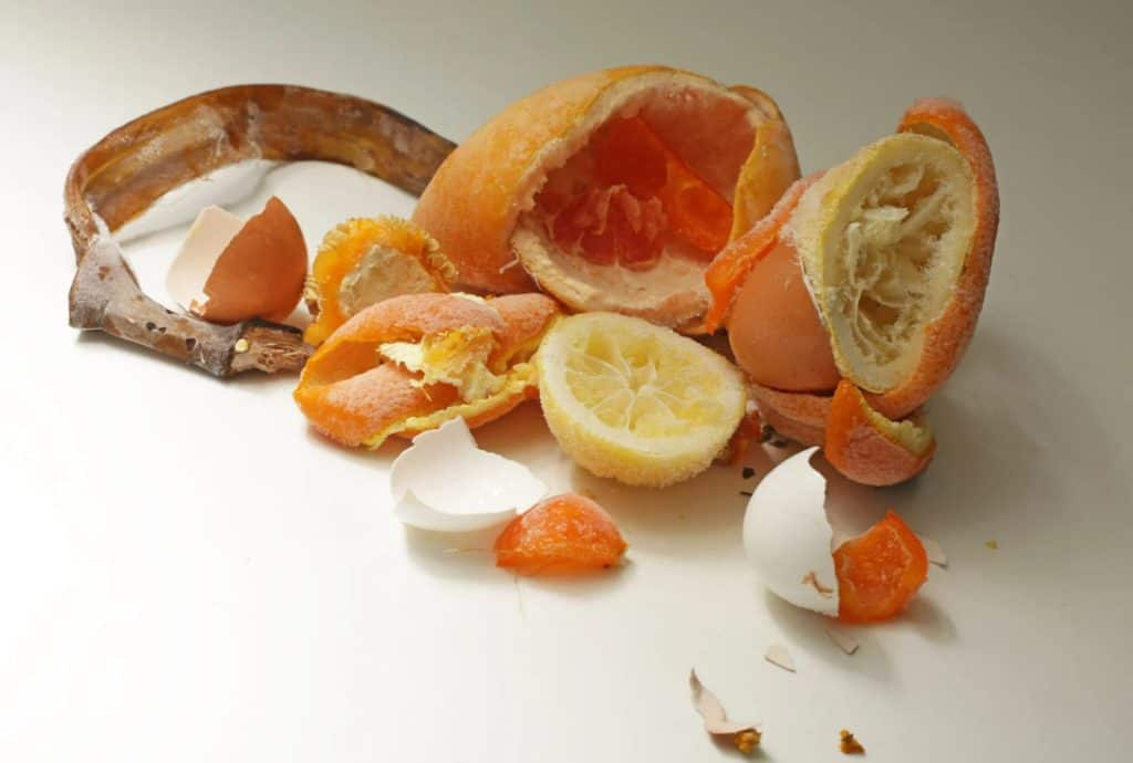 Saving Fruit Scraps