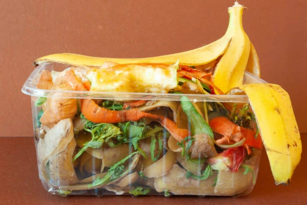 Reusing Fruit Scraps