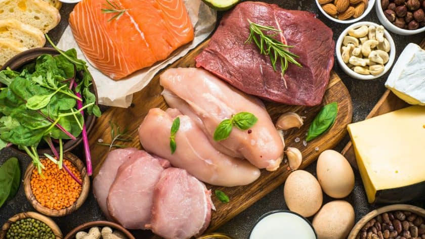 protein matrix