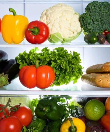 buying professional refrigerators