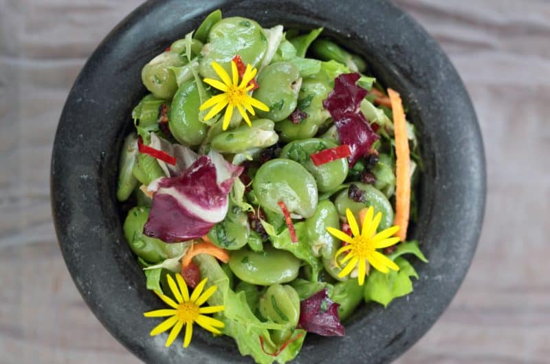 Mary Berry Broad Beans Recipe