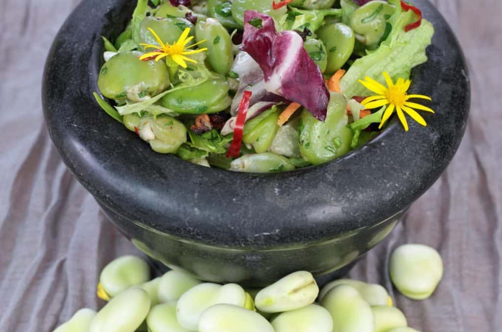 Broad Beans