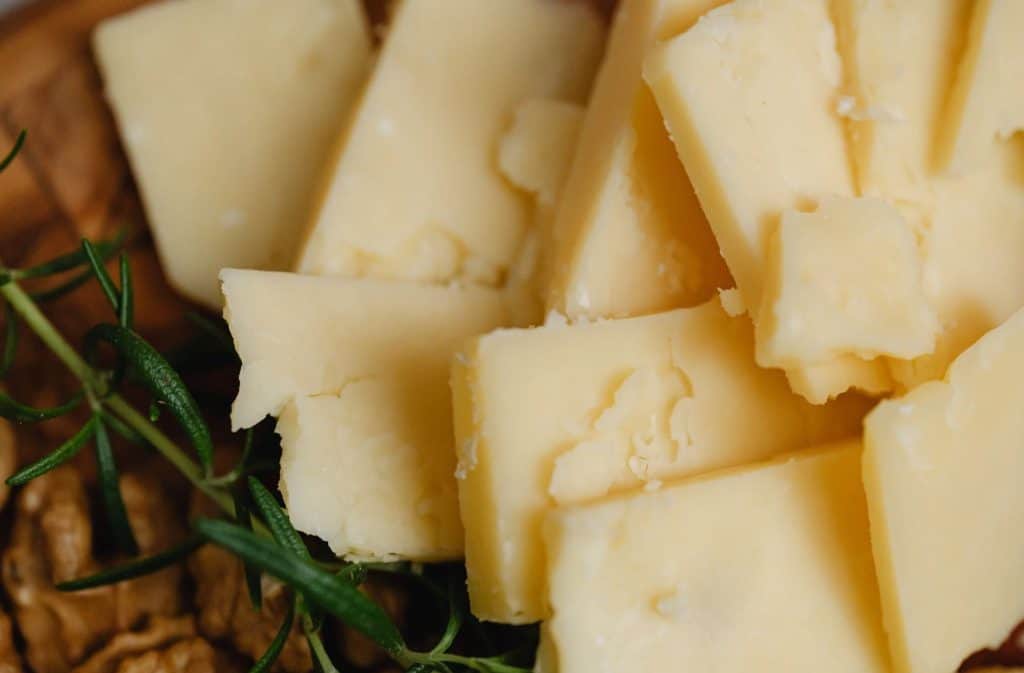 Blocks of cheese with herbs