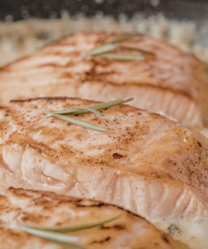 Grilled salmon fillets in sauce
