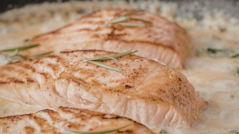 Grilled salmon fillets in sauce