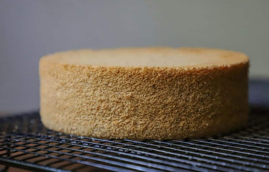 Round, golden sponge cake on rack
