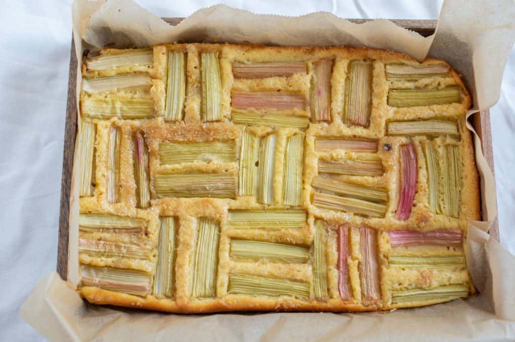 Baked rhubarb dessert in rectangular pan