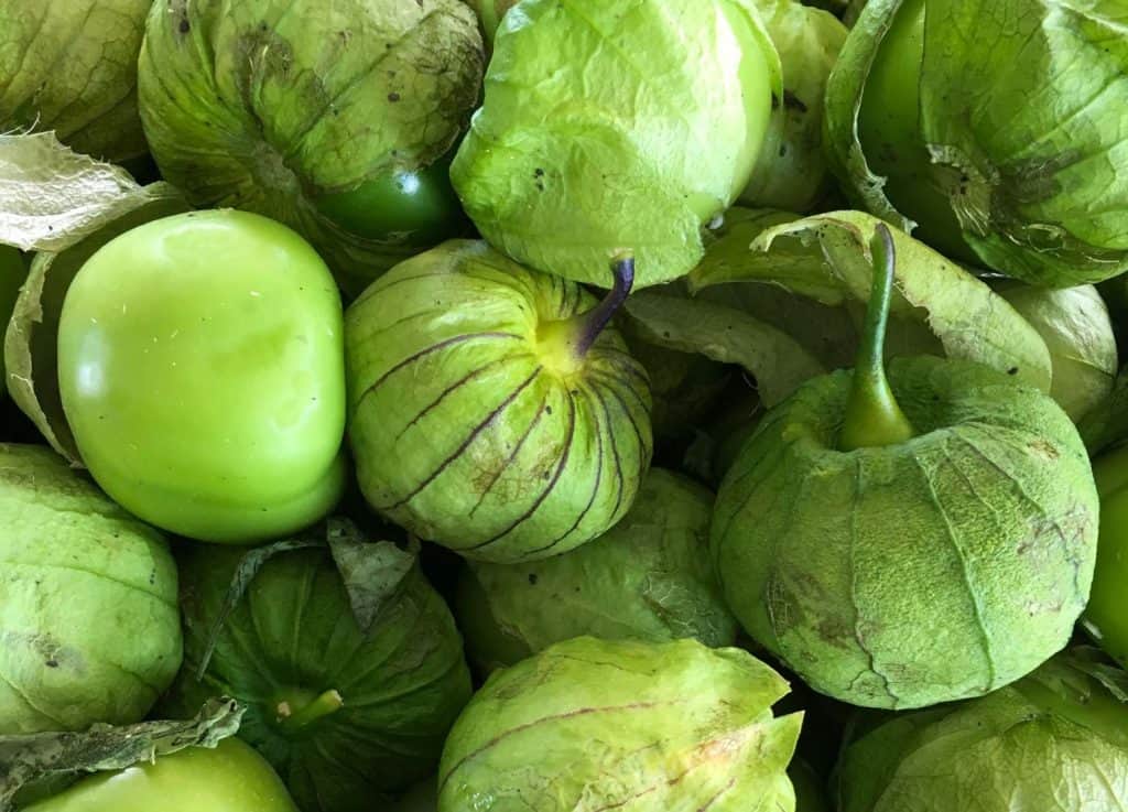 Tomatillo