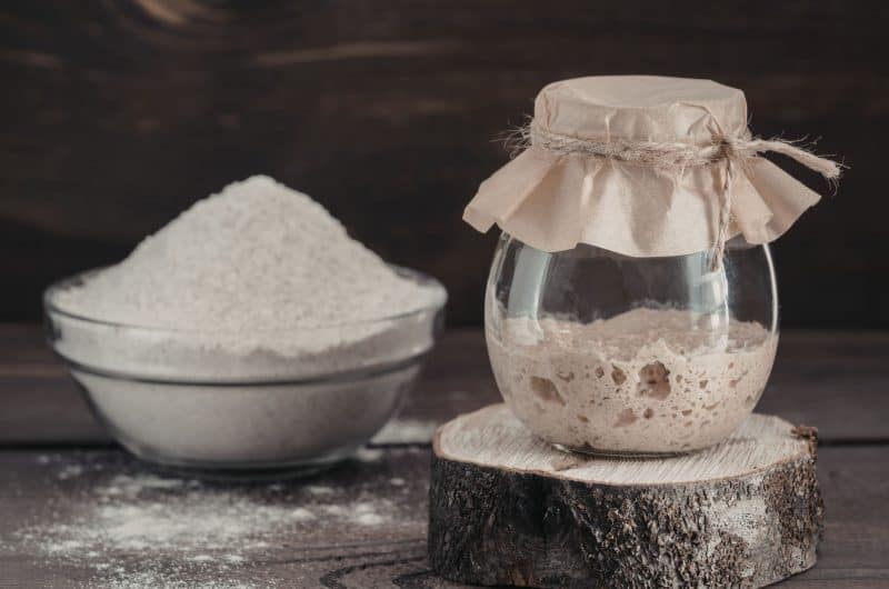 Mary Berry Top 10 Sourdough Starter Feeding Tips for Beginners