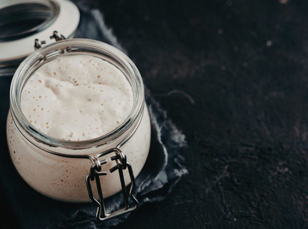 sourdough starter